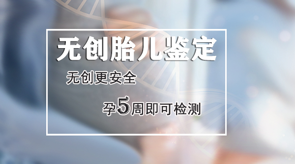 刚怀孕温州如何办理孕期亲子鉴定,温州做怀孕亲子鉴定结果到底准不准确